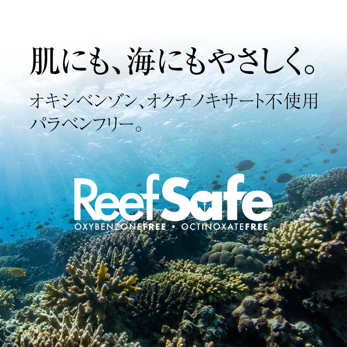 サンスクリーンローション｜ホワイト【SPF 44】 – vertra japan